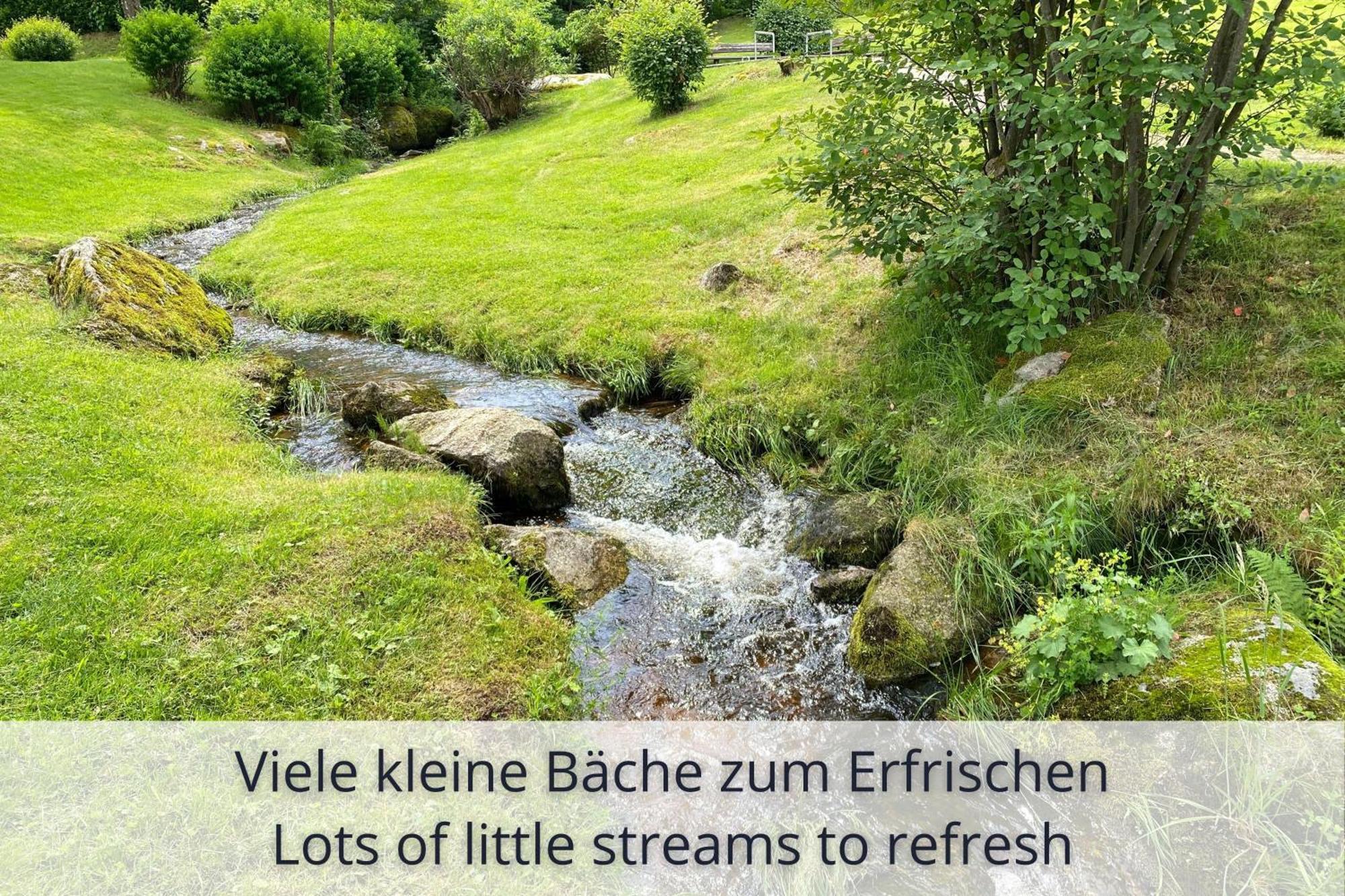 Auszeit Apartment Black Forest Schonach im Schwarzwald Exterior foto